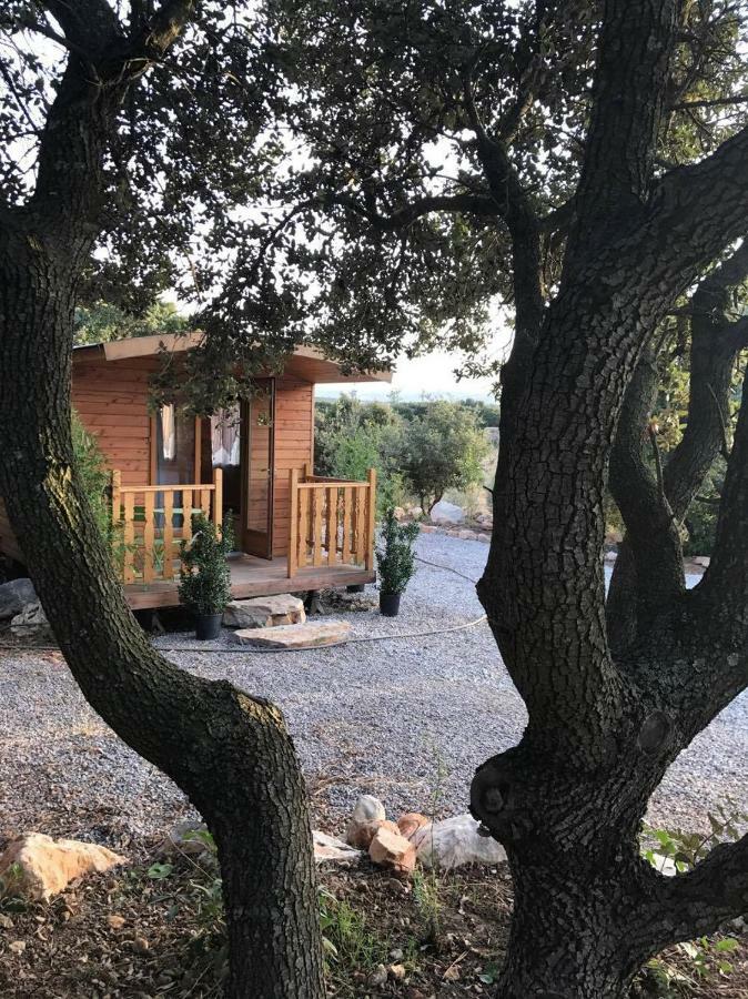 Roulotte Βίλα Cournonterral Εξωτερικό φωτογραφία